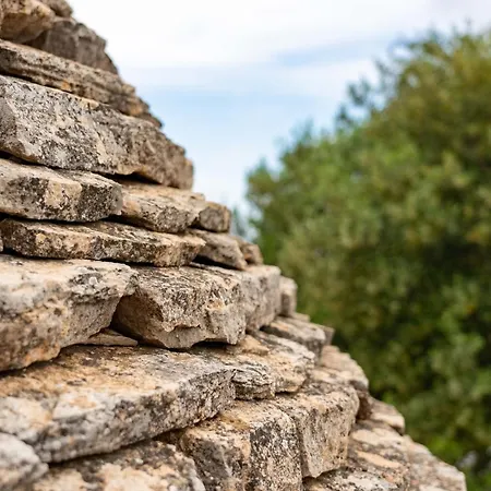 度假居 Hill Trull - Typical Apulian House