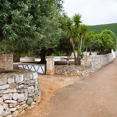 Hill Trull - Typical Apulian House 度假居